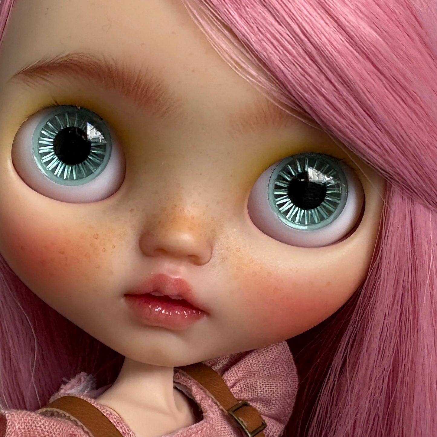 Zinnia